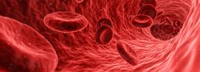 blood-1813410
